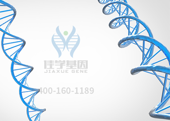 【佳学基因案例】家族性高胆红素血症基因检测、基因解码